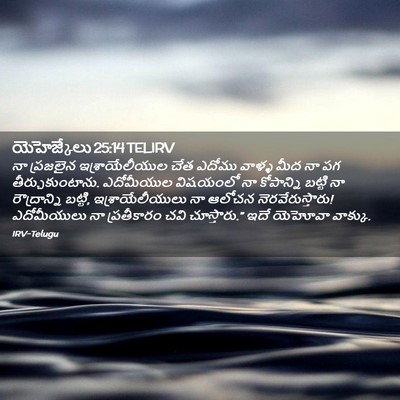 Picture 02 - యెహెజ్కేలు 25:14 TELIRV - నా ప్రజలైన - Bible Verse Picture