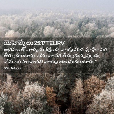 Picture 02 - యెహెజ్కేలు 25:17 TELIRV - ఆగ్రహంతో వాళ్ళను - Bible Verse Picture