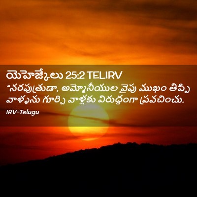 Picture 02 - యెహెజ్కేలు 25:2 TELIRV - “నరపుత్రుడా, - Bible Verse Picture