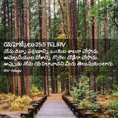 Picture 02 - యెహెజ్కేలు 25:5 TELIRV - నేను రబ్బా - Bible Verse Picture