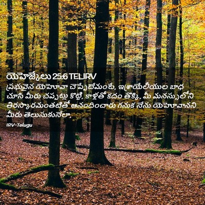 Picture 02 - యెహెజ్కేలు 25:6 TELIRV - ప్రభువైన యెహోవా - Bible Verse Picture