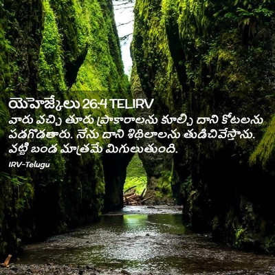 Picture 02 - యెహెజ్కేలు 26:4 TELIRV - వారు వచ్చి తూరు - Bible Verse Picture