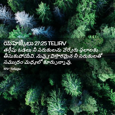 Picture 02 - యెహెజ్కేలు 27:25 TELIRV - తర్షీషు ఓడలు నీ - Bible Verse Picture