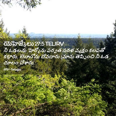 Picture 02 - యెహెజ్కేలు 27:5 TELIRV - నీ ఓడలను హెర్మోను - Bible Verse Picture
