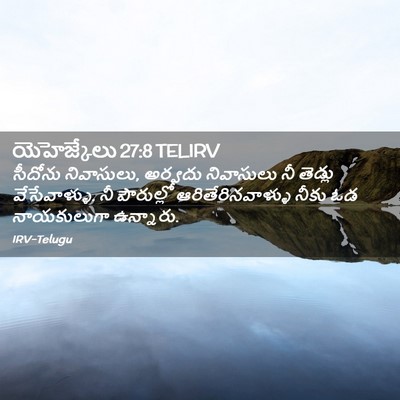 Picture 02 - యెహెజ్కేలు 27:8 TELIRV - సీదోను నివాసులు, - Bible Verse Picture