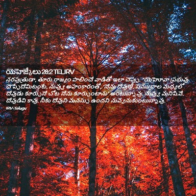 Picture 02 - యెహెజ్కేలు 28:2 TELIRV - నరపుత్రుడా, తూరు - Bible Verse Picture