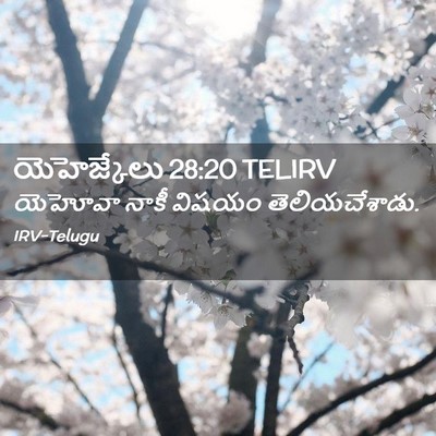 Picture 02 - యెహెజ్కేలు 28:20 TELIRV - యెహోవా నాకీ విషయం - Bible Verse Picture
