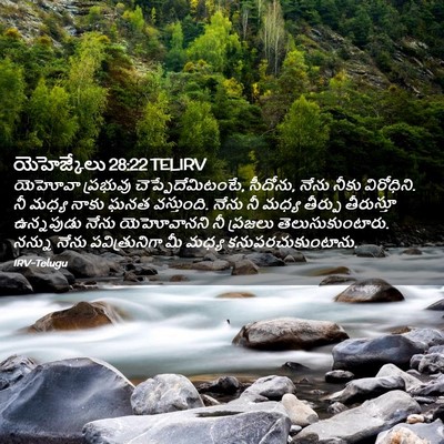 Picture 02 - యెహెజ్కేలు 28:22 TELIRV - యెహోవా ప్రభువు - Bible Verse Picture