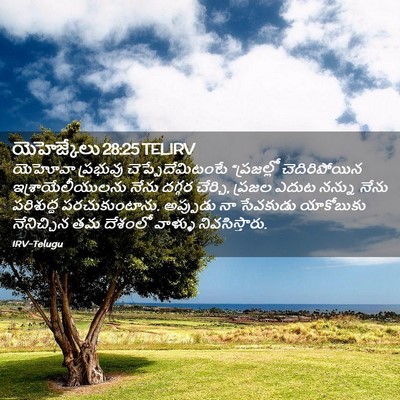 Picture 02 - యెహెజ్కేలు 28:25 TELIRV - యెహోవా ప్రభువు - Bible Verse Picture