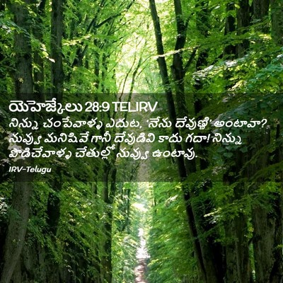 Picture 02 - యెహెజ్కేలు 28:9 TELIRV - నిన్ను చంపేవాళ్ళ - Bible Verse Picture