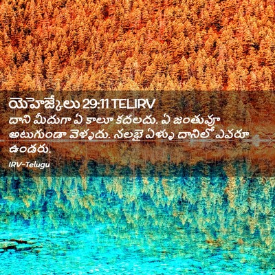 Picture 02 - యెహెజ్కేలు 29:11 TELIRV - దాని మీదుగా ఏ కాలూ - Bible Verse Picture