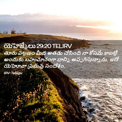 Picture 02 - యెహెజ్కేలు 29:20 TELIRV - తూరు పట్టణం మీద - Bible Verse Picture