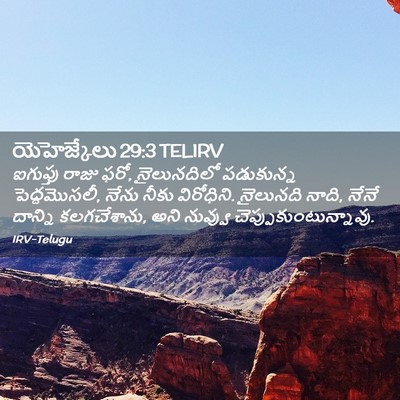 Picture 02 - యెహెజ్కేలు 29:3 TELIRV - ఐగుప్తు రాజు ఫరో, - Bible Verse Picture
