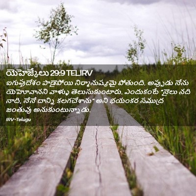 Picture 02 - యెహెజ్కేలు 29:9 TELIRV - ఐగుప్తుదేశం - Bible Verse Picture