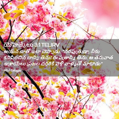 Picture 02 - యెహెజ్కేలు 3:1 TELIRV - ఆయన నాతో ఇలా - Bible Verse Picture