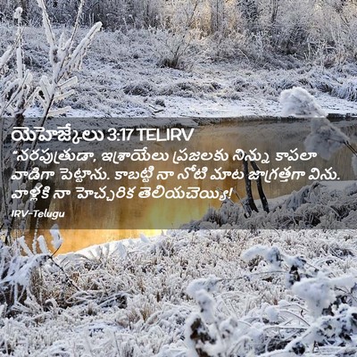 Picture 02 - యెహెజ్కేలు 3:17 TELIRV - “నరపుత్రుడా, - Bible Verse Picture