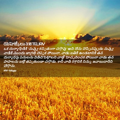 Picture 02 - యెహెజ్కేలు 3:18 TELIRV - ఒక దుర్మార్గుడికి - Bible Verse Picture