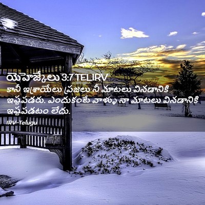 Picture 02 - యెహెజ్కేలు 3:7 TELIRV - కానీ ఇశ్రాయేలు - Bible Verse Picture