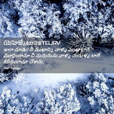 Picture 02 - యెహెజ్కేలు 3:8 TELIRV - ఇలా చూడు! నీ - Bible Verse Picture