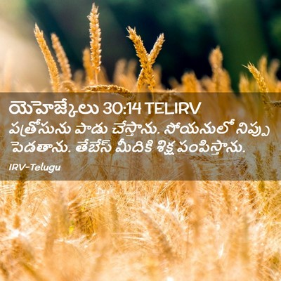 Picture 02 - యెహెజ్కేలు 30:14 TELIRV - పత్రోసును పాడు - Bible Verse Picture