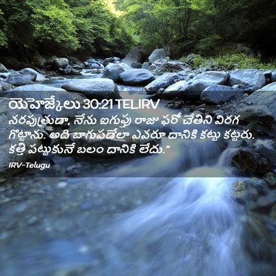 Picture 02 - యెహెజ్కేలు 30:21 TELIRV - నరపుత్రుడా, నేను - Bible Verse Picture