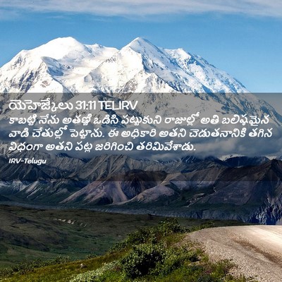 Picture 02 - యెహెజ్కేలు 31:11 TELIRV - కాబట్టి నేను - Bible Verse Picture