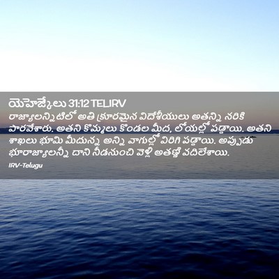 Picture 02 - యెహెజ్కేలు 31:12 TELIRV - రాజ్యాలన్నిటిలో - Bible Verse Picture