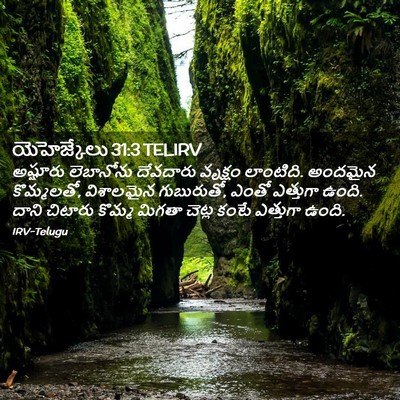 Picture 02 - యెహెజ్కేలు 31:3 TELIRV - అష్షూరు లెబానోను - Bible Verse Picture
