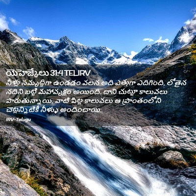 Picture 02 - యెహెజ్కేలు 31:4 TELIRV - నీళ్లు సమృద్ధిగా - Bible Verse Picture