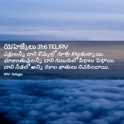 Picture 02 - యెహెజ్కేలు 31:6 TELIRV - పక్షులన్నీ దాని - Bible Verse Picture