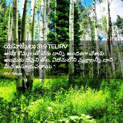 Picture 02 - యెహెజ్కేలు 31:9 TELIRV - అనేక కొమ్మలతో - Bible Verse Picture