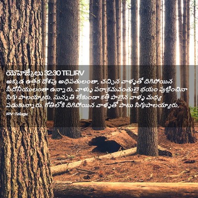 Picture 02 - యెహెజ్కేలు 32:30 TELIRV - అక్కడ ఉత్తర దేశపు - Bible Verse Picture