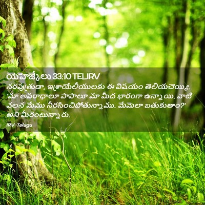 Picture 02 - యెహెజ్కేలు 33:10 TELIRV - నరపుత్రుడా, - Bible Verse Picture