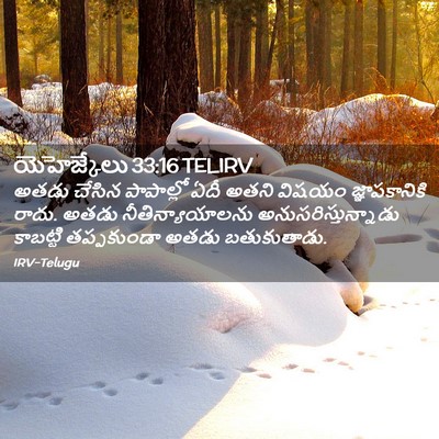 Picture 02 - యెహెజ్కేలు 33:16 TELIRV - అతడు చేసిన - Bible Verse Picture