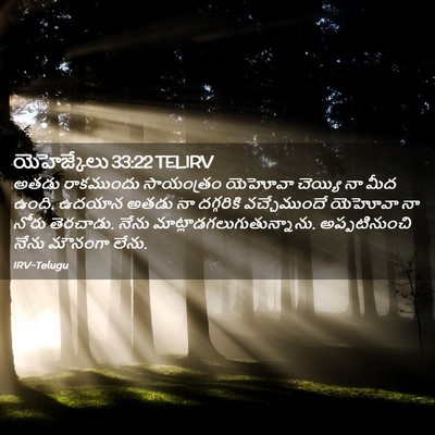Picture 02 - యెహెజ్కేలు 33:22 TELIRV - అతడు రాకముందు - Bible Verse Picture