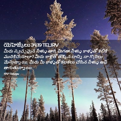 Picture 02 - యెహెజ్కేలు 34:19 TELIRV - మీరు స్వచ్ఛమైన - Bible Verse Picture