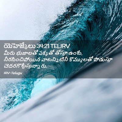 Picture 02 - యెహెజ్కేలు 34:21 TELIRV - మీరు భుజాలతో - Bible Verse Picture