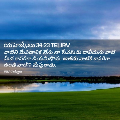 Picture 02 - యెహెజ్కేలు 34:23 TELIRV - వాటిని మేపడానికి - Bible Verse Picture