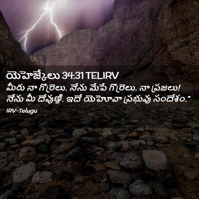 Picture 02 - యెహెజ్కేలు 34:31 TELIRV - మీరు నా గొర్రెలు. - Bible Verse Picture