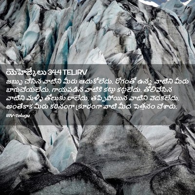 Picture 02 - యెహెజ్కేలు 34:4 TELIRV - జబ్బు చేసిన - Bible Verse Picture