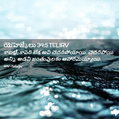 Picture 02 - యెహెజ్కేలు 34:5 TELIRV - కాబట్టి, కాపరి లేక - Bible Verse Picture