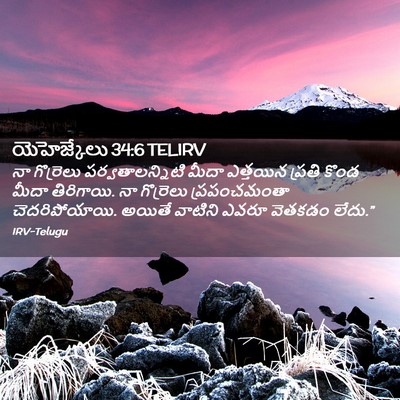 Picture 02 - యెహెజ్కేలు 34:6 TELIRV - నా గొర్రెలు - Bible Verse Picture
