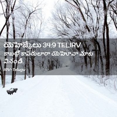 Picture 02 - యెహెజ్కేలు 34:9 TELIRV - కాబట్టి కాపరులారా - Bible Verse Picture