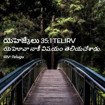 Picture 02 - యెహెజ్కేలు 35:1 TELIRV - యెహోవా నాకీ విషయం - Bible Verse Picture
