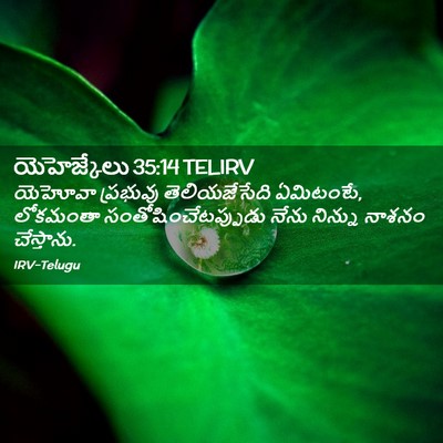 Picture 02 - యెహెజ్కేలు 35:14 TELIRV - యెహోవా ప్రభువు - Bible Verse Picture