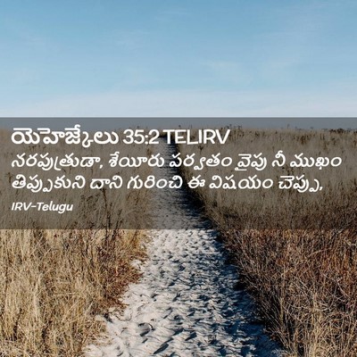 Picture 02 - యెహెజ్కేలు 35:2 TELIRV - నరపుత్రుడా, - Bible Verse Picture