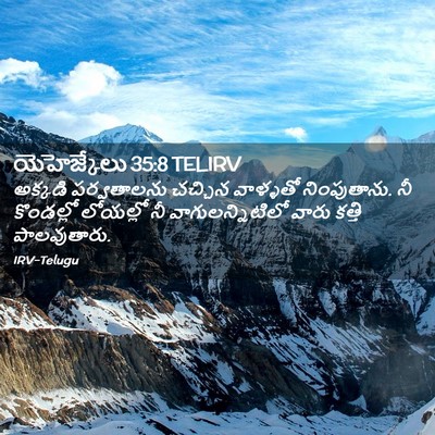 Picture 02 - యెహెజ్కేలు 35:8 TELIRV - అక్కడి పర్వతాలను - Bible Verse Picture