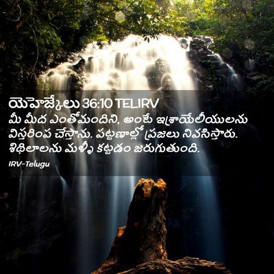 Picture 02 - యెహెజ్కేలు 36:10 TELIRV - మీ మీద ఎంతోమందిని, - Bible Verse Picture