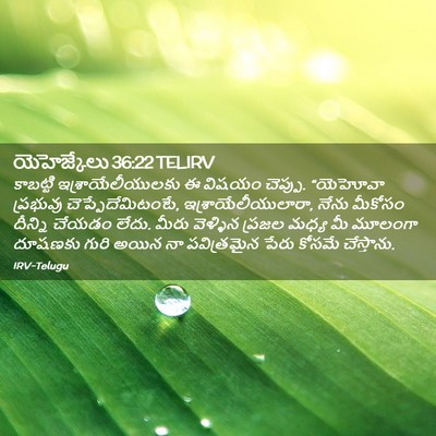 Picture 02 - యెహెజ్కేలు 36:22 TELIRV - కాబట్టి - Bible Verse Picture