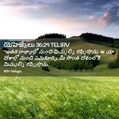 Picture 02 - యెహెజ్కేలు 36:24 TELIRV - “ఇతర రాజ్యాల్లో - Bible Verse Picture